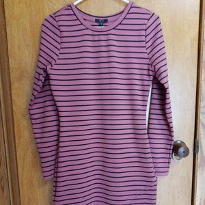 Iris, Large, Pink and Black Striped Dress